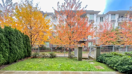 115 9233 Odlin Road, Richmond, BC, Richmond — Apartment/Condo for sale