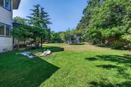 Neighborhood Park Photo Near 7848 161 Street, Surrey, BC