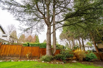 Swimming Pool Photo of 11826 Alderwood Crescent, Delta, BC