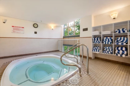 Primary Bathroom Photo of 4402 4295 Blackcomb Way, Whistler, BC