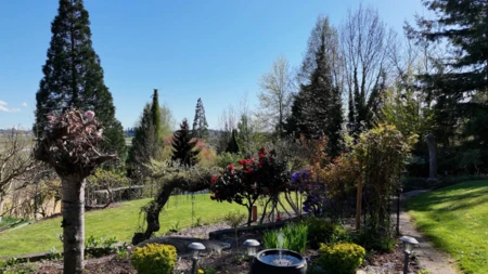 Playground / Recreational Area Near 16498 77 Avenue, Surrey, BC