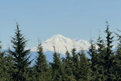 Backyard Photo of 12483 Powell Street, Mission, BC