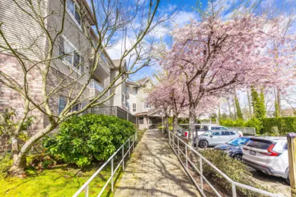 Community Amenities Photo (Clubhouse) of 307 16137 83 Avenue, Surrey, BC