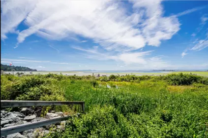 Outdoor Patio Photo of 318 1120 Tsatsu Shores Drive, Delta, BC