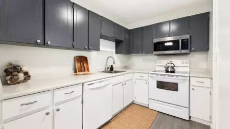 Kitchen Photo of 301 215 Mowat Street, New Westminster, BC