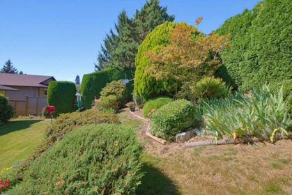 Aerial View of 2358 Cameron Crescent, Abbotsford, BC