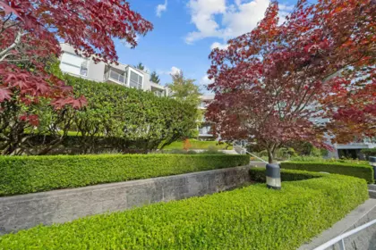 Laundry Room Photo of 409 8430 Jellicoe Street, Vancouver, BC