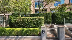 1040 Quebec Street, Vancouver, BC