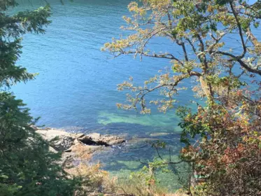 Exterior Rear Photo of 250 Leighton Lane, Mayne Island, BC