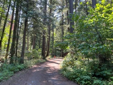 Garden / Landscaping Photo of 20 19743 Foster Road, Hope, BC