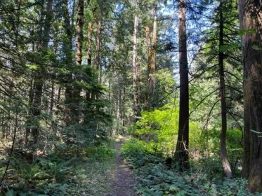 Pantry Photo of 20 19743 Foster Road, Hope, BC