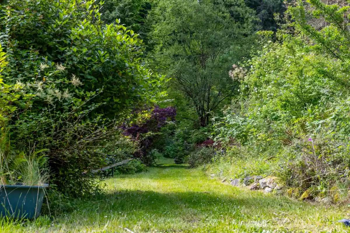 Front Yard Photo of 211 Morgan Road, Galiano Island, BC
