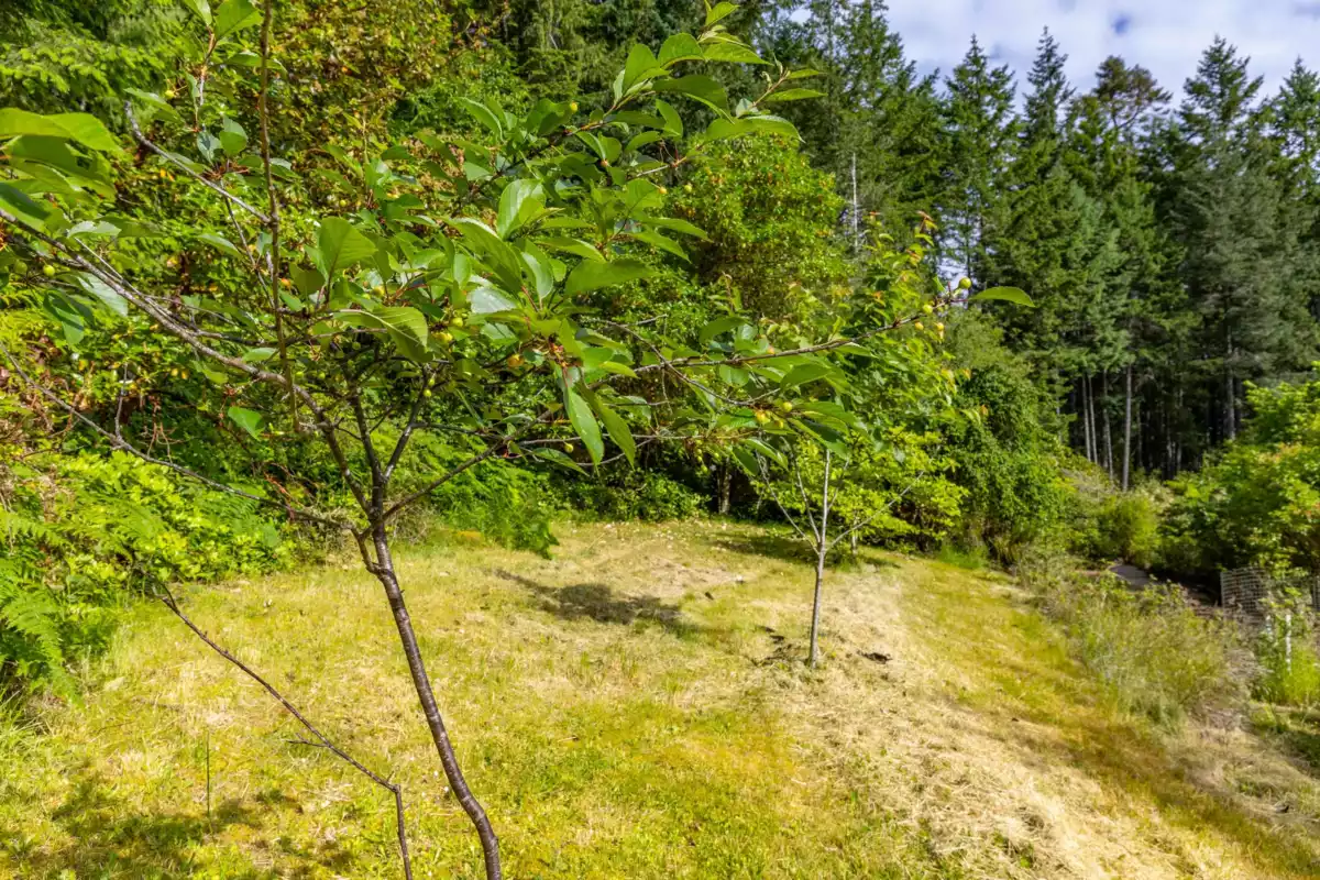 Hot Tub / Spa Photo of 211 Morgan Road, Galiano Island, BC