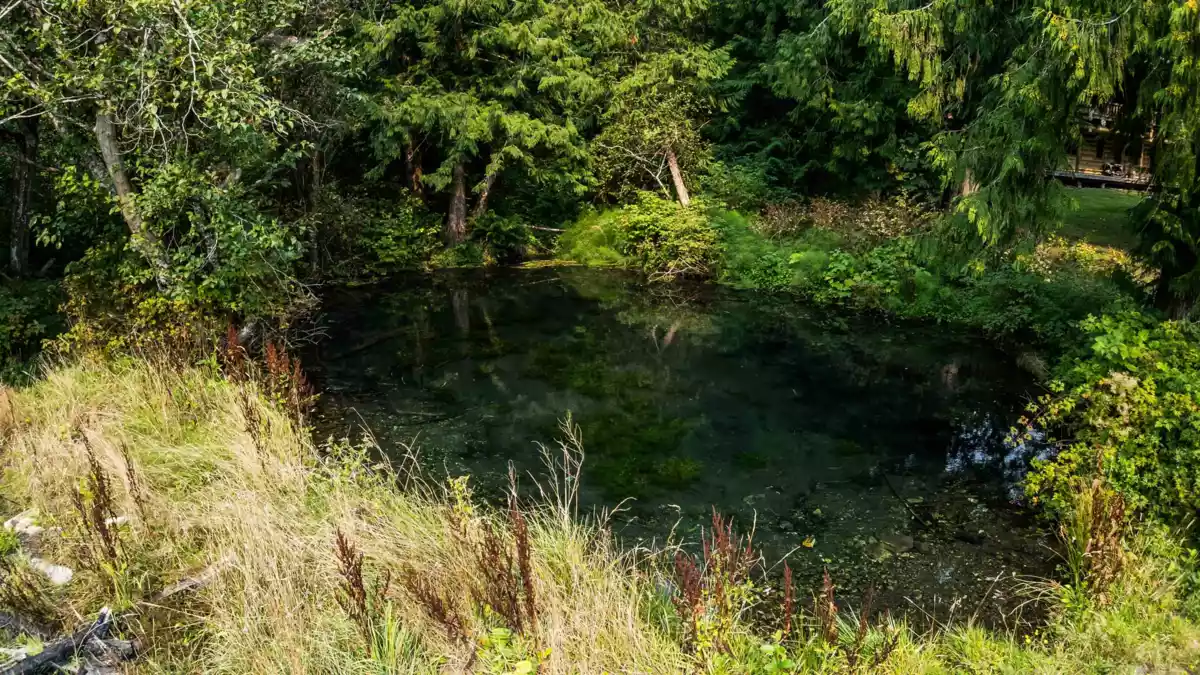 Backyard Photo of 55270 Chilliwack Bench Fsr Road, Chilliwack, BC