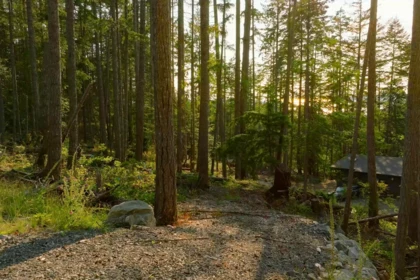 786 Hayes Road, Bowen Island, BC, Bowen Island — Land for sale