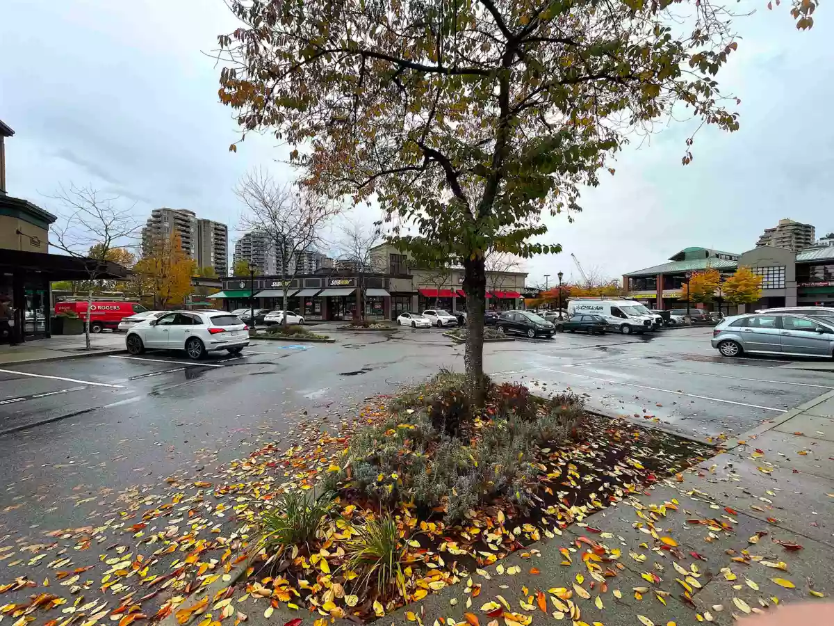 Front Yard Photo of 2602 892 Carnarvon Street, New Westminster, BC