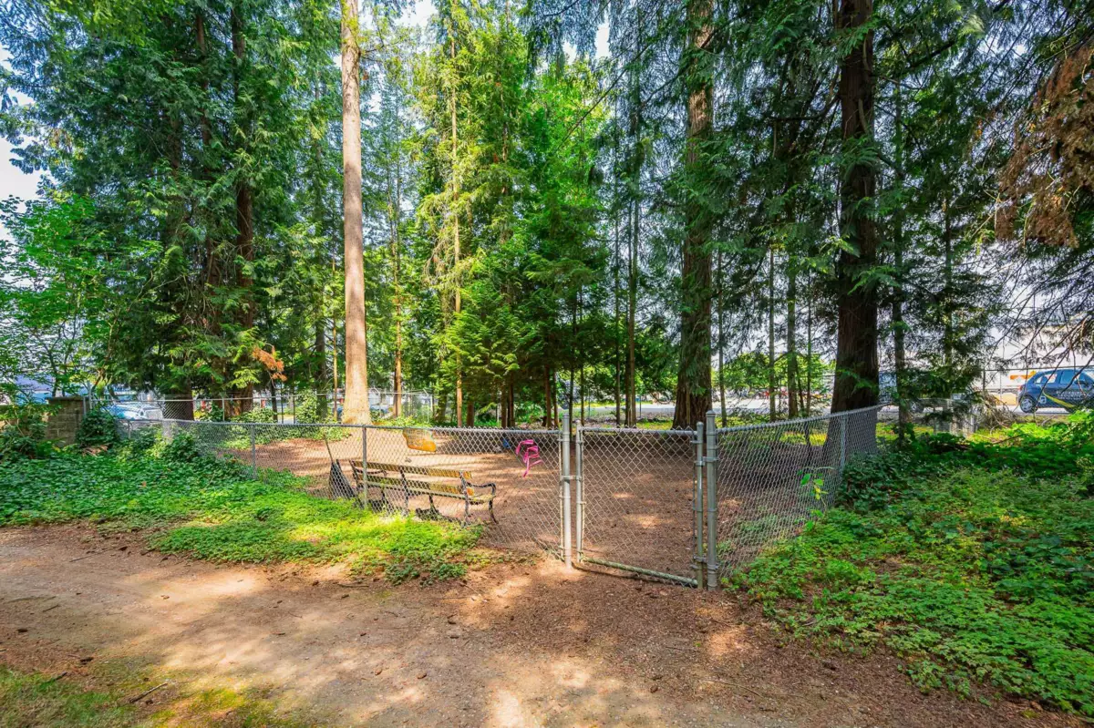 Outdoor Kitchen Photo of 20 9080 198 Street, Langley, BC