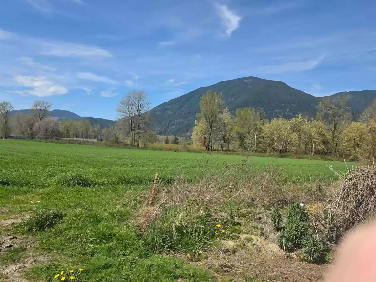 Loft / Bonus Room Photo of 41582 Nicomen Island Trunk Road, Mission, BC