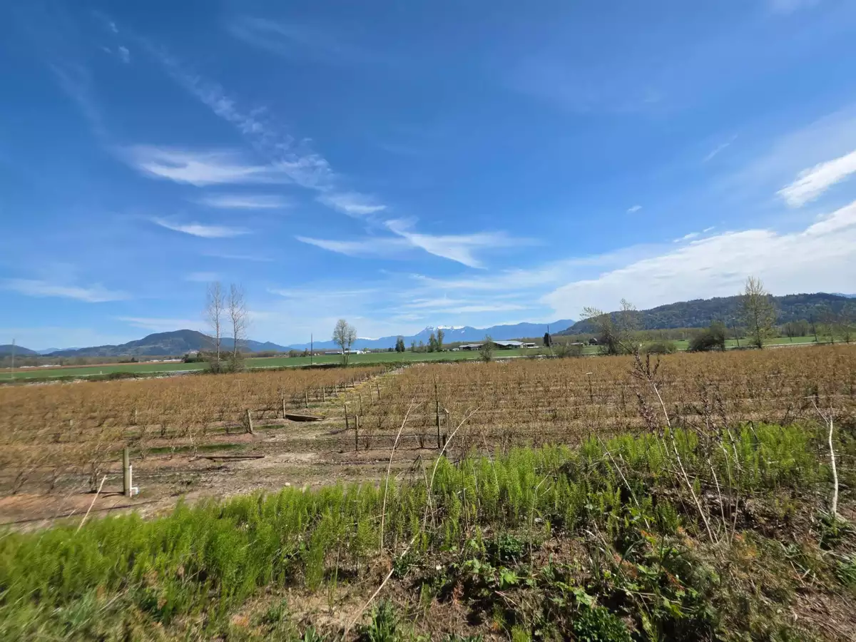 Office / Den Photo of 41582 Nicomen Island Trunk Road, Mission, BC