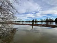 1455 South Dyke Road, New Westminster, BC