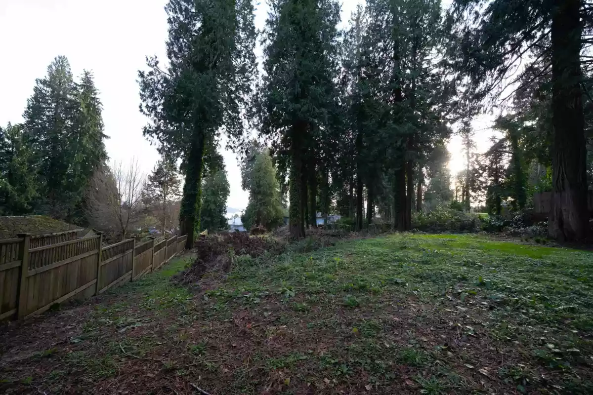 Backyard Photo of 1372 Ottawa Avenue, West Vancouver, BC