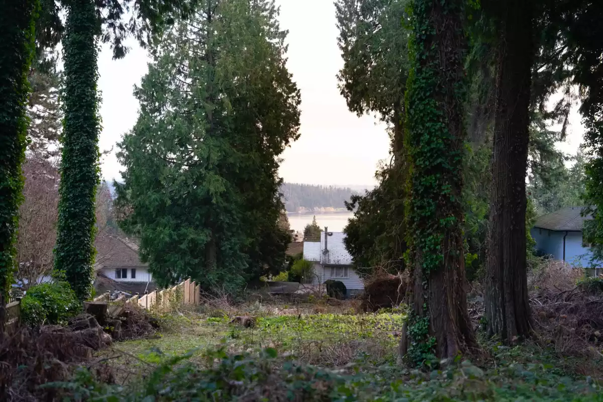 Exterior Rear Photo of 1372 Ottawa Avenue, West Vancouver, BC