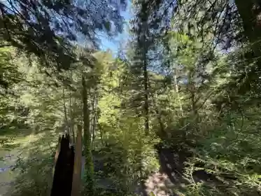 9063 Paradise Valley Road, Squamish, BC, Squamish — Manufactured On Land for sale