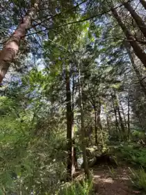 9063 Paradise Valley Road, Squamish, BC, Squamish — Manufactured On Land for sale