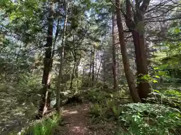 9063 Paradise Valley Road, Squamish, BC, Squamish — Manufactured On Land for sale