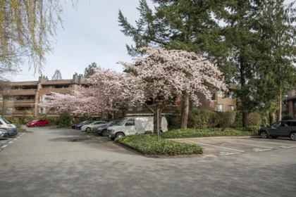 Outdoor Patio Photo of 214 7411 Minoru Boulevard, Richmond, BC