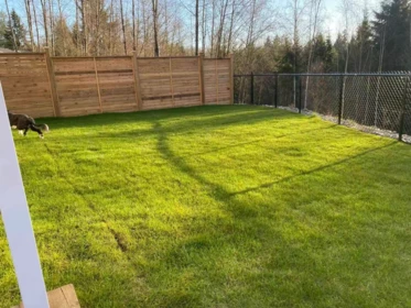 Front Yard Photo of 14119 230 Street, Maple Ridge, BC