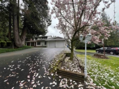 6582 Satchell Street, Abbotsford, BC