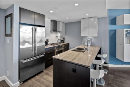 Kitchen Photo of 1509 1618 Quebec Street, Vancouver, BC