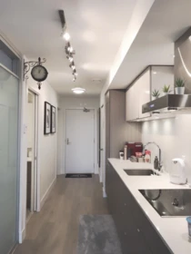 Kitchen Photo of 508 1788 Columbia Street, Vancouver, BC