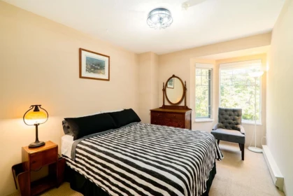 Aerial View of 22 795 Noons Creek Drive, Port Moody, BC