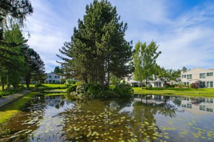 Playground / Recreational Area Near 12263 92 Avenue, Surrey, BC