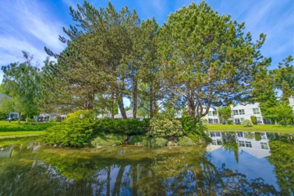 Street View Photo of 12263 92 Avenue, Surrey, BC