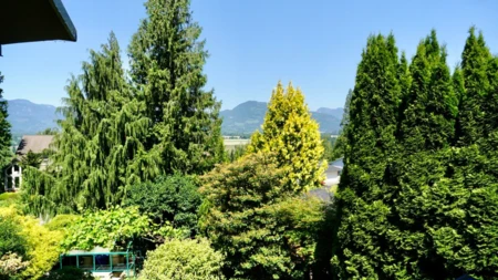 Swimming Pool Photo of 47354 Swallow Crescent, Chilliwack, BC