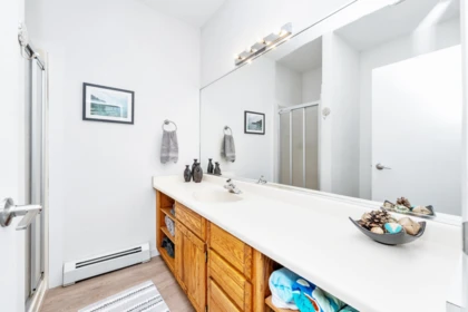 Aerial View of 24325 126 Avenue, Maple Ridge, BC