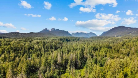 Playground / Recreational Area Near 24325 126 Avenue, Maple Ridge, BC