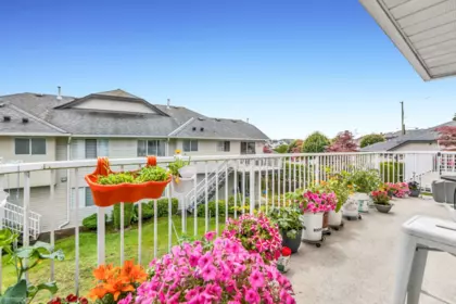 Kitchen Photo of 165 3160 Townline Road, Abbotsford, BC