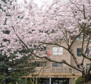 Playground / Recreational Area Near 125 7431 Minoru Boulevard, Richmond, BC