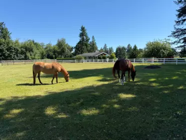 Front Yard Photo of 25177 64 Avenue, Langley, BC