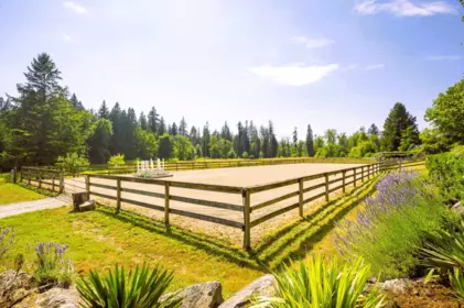Backyard Photo of 9837 Mckinnon Crescent, Langley, BC