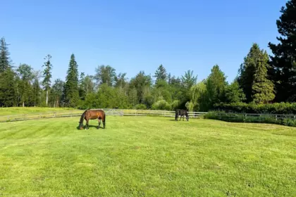Front Yard Photo of 9837 Mckinnon Crescent, Langley, BC