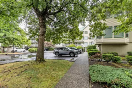 210 19236 Ford Road, Pitt Meadows, BC, Pitt meadows — Apartment/Condo for sale