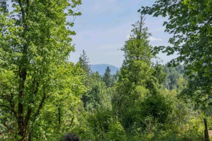 Swimming Pool Photo of 7 29605 Mctavish Road, Abbotsford, BC