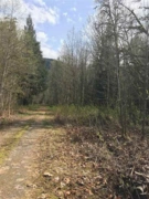 DL 993 Squamish Valley Road, Squamish, BC