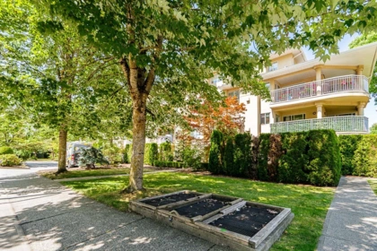 Outdoor Deck Photo of 313 13727 74 Avenue, Surrey, BC
