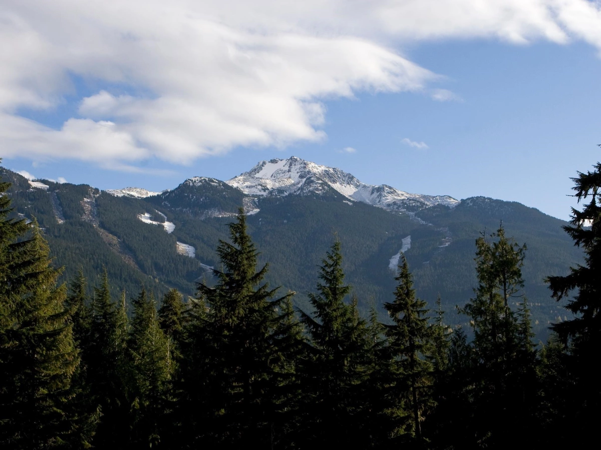 Dining Area Photo of 5408 Stonebridge Drive, Whistler, BC